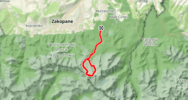 Szlak z Brzezin na Świnicę