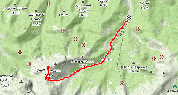 Szlak z Kuźnic na Wielki Giewont